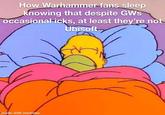 How Warhammer fans sleep knowing that despite GWs Occasional icks, at least they're not Ubisoft. made with mematic