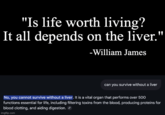 "Is life worth living? It all depends on the liver." -William James can you survive without a liver No, you cannot survive without a liver. It is a vital organ that performs over 500 functions essential for life, including filtering toxins from the blood, producing proteins for blood clotting, and aiding digestion. imgflip.com