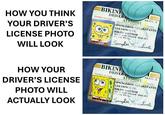 HOW YOU THINK YOUR DRIVER'S LICENSE PHOTO WILL LOOK BIKINI DRIVER EXPIRES: 12-14-03 A1356021 CLASS: S SPONGEBOB SQUAREPANTS 124 CONCH ST. BIKINI BOTTOM : M HAIR: YELLOW EYES, BLU T: 0-04 WT: loa SpongeBob SquarePants HOW YOUR DRIVER'S LICENSE PHOTO WILL ACTUALLY LOOK BIKINI DRIVER EXPIRES: 12-14-03 A1356021 CLASS: S SPONGEBOB SQUAREPANTS 124 CONCH ST. BIKINI BOTTOM . M HAIR YELLOW EYES: BLU T: 0-04 WT: los SpongeBob Squardants