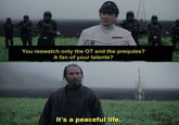 You reawatch only the OT and the prequles? A fan of your talents? It's a peaceful life.