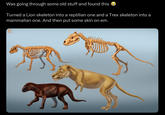 Was going through some old stuff and found this Turned a Lion skeleton into a reptilian one and a Trex skeleton into a mammalian one. And then put some skin on em. RIAMUS