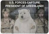 U.S. FORCES CAPTURE PRESIDENT OF GREENLAND! made with mematic DEA