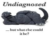 Undiagnosed BITCHZILLA ... but what else could it be?