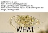 (600 mil years ago) Time Traveller: What year is it? Single Cell Organism: 600,000,000 BC Time Traveller: Oh so before multi cell organisms? Single Cell Organism: made with mematic WHAT