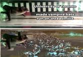 University of Toronto versityofro made vampire bats run on threadmills Total War Warhammer III
