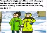 Vegeta's biggest flex will always be bagging a billionaire shorty while being homeless and having no job BOL