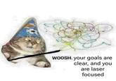 WOOSH. your goals are clear, and you are laser focused