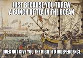 JUST BECAUSE YOU THREW A BUNCH OF TEA IN THE OCEAN DOES NOT GIVE YOU THE RIGHT TO INDEPENDENCE imgflip.com