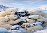 An AI-generated image. The image shows a robot loving polar bears.