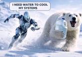I NEED WATER TO COOL MY SYSTEMS