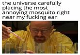 the universe carefully placing the most annoying mosquito right near my f------ ear
