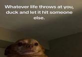 Whatever life throws at you, duck and let it hit someone else.