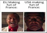 EU Making fun of France: USA making fun of France: