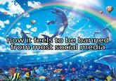 how it feels to be banned from most social media