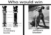 Who would win EXPLOSIVE GAINE PLUG- -ELECTRON CASE -THERMITE FILLING -SPLIT SPACING COLLAR- DETONATOR- B-1 (13)EZB -STRIKER- DETONATOR EXPLOSIVE POCKET A Nazi MODIFIED FUZE incendiary bomb WAX -BOOSTER SAFETY PIN Juliana's bladder