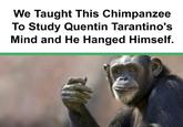We Taught This Chimpanzee To Study Quentin Tarantino's Mind and He Hanged Himself.