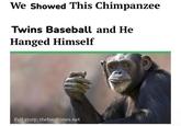 We Showed This Chimpanzee Twins Baseball and He Hanged Himself Full story: thehardtimes.net