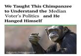 We Taught This Chimpanzee to Understand the Median Voter's Politics and He Hanged Himself Full story: thehardtimes.net