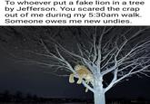 To whoever put a fake lion in a tree by Jefferson. You scared the crap out of me during my 5:30am walk. Someone owes me new undies.