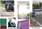 LICE "Glad we're not that guy" WEIGH STATION RIGHT LANE CLOSED Roadtrip Starterpack u/coffeeismydoc Jes SAVE the BABIES heartbeat 18 days PROLIfe Across AMERICA® 1-800-366-7773 "He's just sleeping" *Only country radio* NEED ELP?