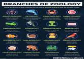 SCIENCE CLUB MONTH SPECIAL BRANCHES OF ZOOLOGY Here are some of the common branches of animal science that we should know! ARACHNOLOGY study of arachnids, such as spiders ENTOMOLOGY CETOLOGY study of marine mammals, such as dolphins ETHOLOGY study of insects, such as grasshoppers study of animal behavior CARCINOLOGY study of crustaceans, such as crabs and shrimps EMBRYOLOGY study of embryos and their development HERPETOLOGY study of amphibians and reptiles HISTOLOGY microscopic study of tissues and organs ICHTHYOLOGY MALACOLOGY study of fish, such as clownfish MAMMALOGY ORNITHOLOGY study of birds, such as parrots study of molluscs, such as snails study of mammals, such as lions PALEOZOOLOGY PRIMATOLOGY study of ancient and fossil animals study of primates, such as orangutans and their habitats ZOOGRAPHY study of animals ZOOMETRY study of lengths and sizes related to animals OOO ScienceKonek REFERENCE: BioExplorer.net (2024). Branches of Biology. https://www.bioexplorer.net/divisions_of_biology/zoology/