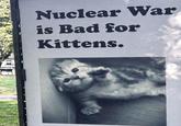 Nuclear War is Bad for Kittens.