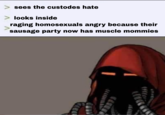 sees the custodes hate looks inside raging homosexuals angry because their sausage party now has muscle mommies