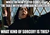 WHEN THE NEW PLAYER COMES AT THE TABLE WITH AN HOMEBREW SORCERER WHAT KIND OF SORCERY IS THIS? imgflip.com