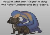 People who say "It's just a dog" will never understand this feeling.