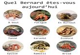Quel Bernard êtes-vous aujourd'hui À bout Fatigué En Burnout Tanné Karaoké Écoeuré Épuisé Ramolli Brisé