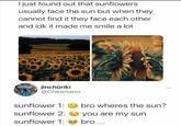 I just found out that sunflowers usually face the sun but when they cannot find it they face each other and idk it made me smile a lot @food sangini jinchūriki @Chewnano sunflower 1: bro wheres the sun? sunflower 2: you are my sun sunflower 1: bro...