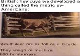 British: hey guys we developed a thing called the metric sy- Americans: Adult deer are as tall as a bicycle. They weigh as much as 800 hamburgers.