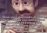 @dev How your dad looks at you when you say you don't want to move 13,193 kilograms worth of concrete bags with him at 5:38am on a Sunday morning
