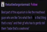 thelustiestargonianmaid Follow Best part of the aquarium is like the meathead guys who are like "bro what the h is that thing that's crazy" and their gf who has to gently tell them "babe that's a seahorse"