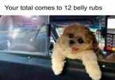 Your total comes to 12 belly rubs