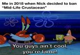 Me in 2018 when Nick decided to ban "Mid-Life Crustacean❞ You guys ain't cool, you're lame!