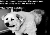 Me, a time traveler: Excuse me, sir. Is this WWI or WWII? The WWI soldier: