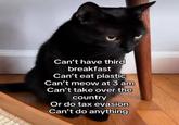Can't have third breakfast Can't eat plastic Can't meow at 3 am Can't take over the country Or do tax evasion Can't do anything
