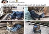 alysse @alyssemazakian I found a tiny denim jacket at goodwill de in T Great Ar indoor outdoor p Hecho e Ideal para pla Herior y ad 6