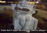 Cats don't even let statues read in peace.
