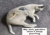 My zen garden won't stop purring