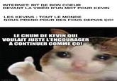 INTERNET: RIT DE BON COEUR DEVANT LA VIDÉO D'UN MOT POUR KEVIN LES KEVINS : TOUT LE MONDE NOUS PREND POUR DES FOUS DEPUIS ÇO! LE CHUM DE KEVIN QUI VOULAIT JUSTE L'ENCOURAGER À CONTINUER COMME ÇO! imgflip.com