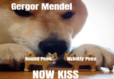 Gergor Mendel Round Pees Wrinkly Pees NOW KISS