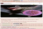 Board /pol/ - Politically Incorrect Anonymous (ID: p2NbrGPs HUGE HAPPENING Settings Mobile Home 01/28/26(Wed)01:49:34 No.527149696 DramaAlert Drama Alert @DramaAlert BAT VIRUS outbreak reported in India - - no, not again.... IMG_2018.jpg 98 KB JPG India is currently dealing with a virus that has a 40% mortality rate. It's mainly transmitted by handling infected poop. Which is why it's contained to India. Anonymous (ID: WalZuzIF .. 01/28/26(Wed)01:56:10 No.527150132 Anonymous (ID: VDurADgc) [+] 01/28/26(Wed)01:56:59 No.527150188 >>527149696 (OP) # mother nature begins the great wiping >>527151343 # >>527152661 # >>527152915 # >>527162544 #