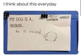 I think about this everyday MY DOG IS A... HERO BECAUSE... he is round CIRCLE WORKER COMPANION