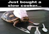Just bought a slow cooker...