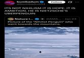 bumbadum @bumbadum14 Follow ITS NOT NIHILISM IT IS HOPE. IT IS AMBITION. HE IS NIETZSCHE'S UBERPENGUIN Nature i... C@AMA.... Jan 23 Picture of the "Nihilist Penguin" who went towards the mountains.