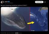 maro @ProofofMaro We got thawing Leviathan before GTA6? Subscribe 322 1200 mi Google 600 km 12:26 PM - Jan 27, 2026 -5,554 Views