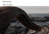 Nobody: Ser Arlan: HOUSE DRAGON MEMES The