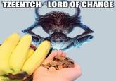 TZEENTCH-LORD OF CHANGE imgflip.com